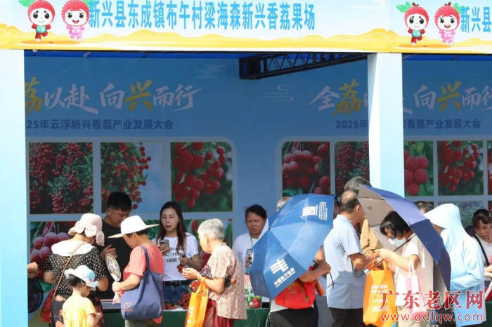 大会现场2.jpg