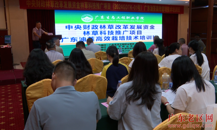 兴宁油茶培训班.png