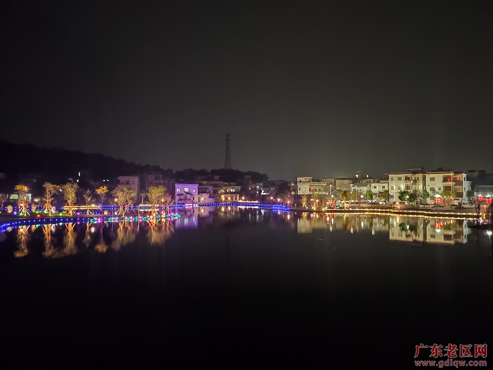 胡志得 荷塘镇南村村“荷塘月色”公园夜景-胡志得-3833316.jpg